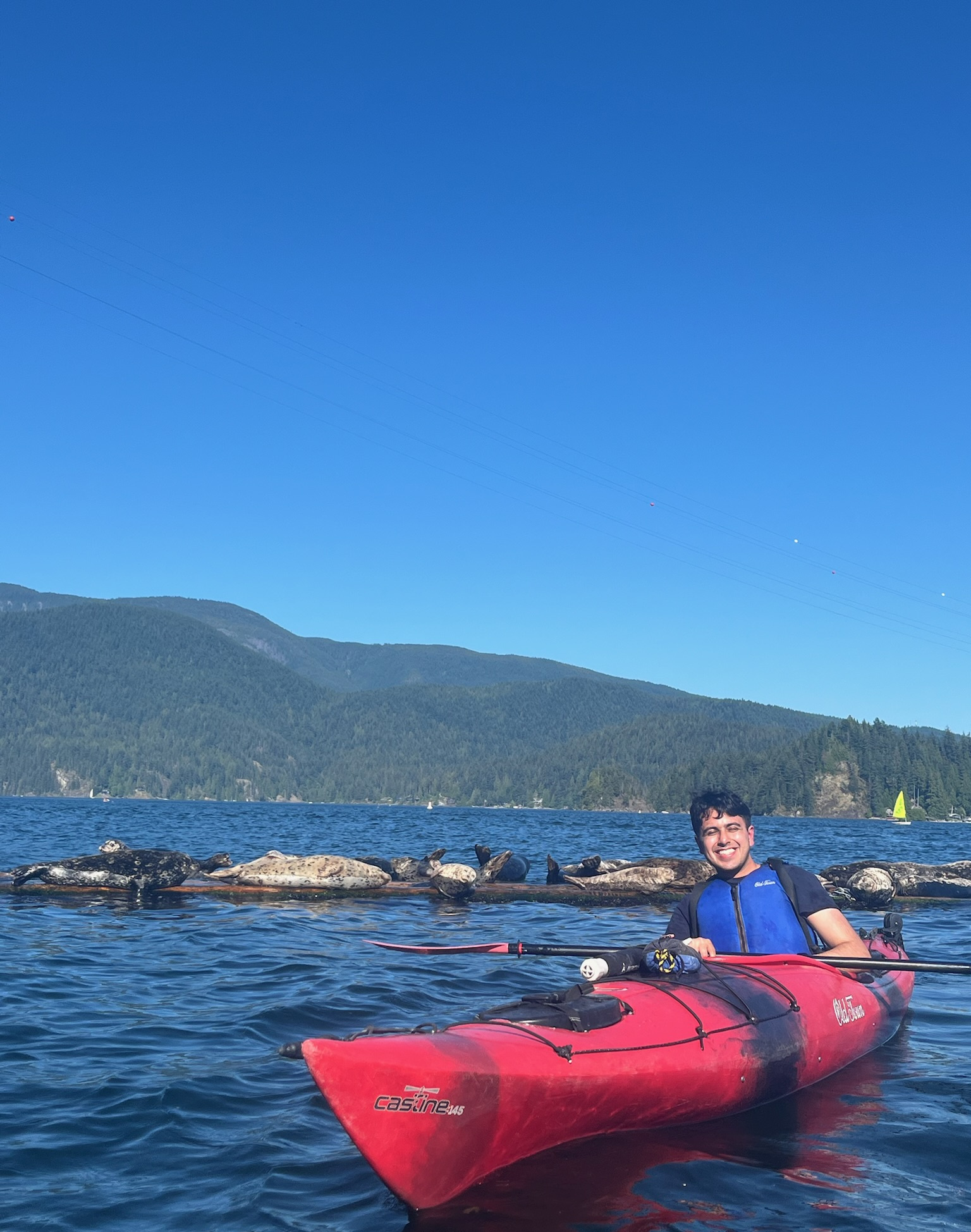 Karan kayaking beside seals